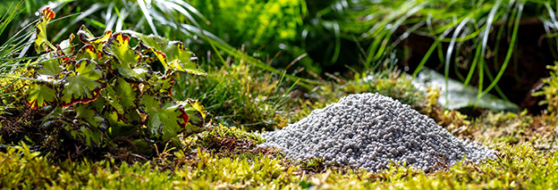 Nachhaltigkeit & Umwelt